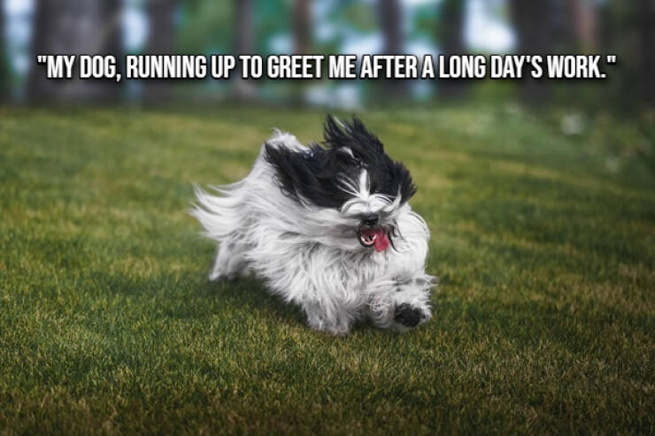 Small Joys That Brighten Everyday Life Small Joys That Brighten Everyday Life