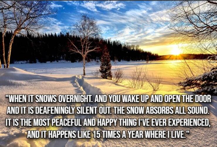 Small Joys That Brighten Everyday Life Small Joys That Brighten Everyday Life