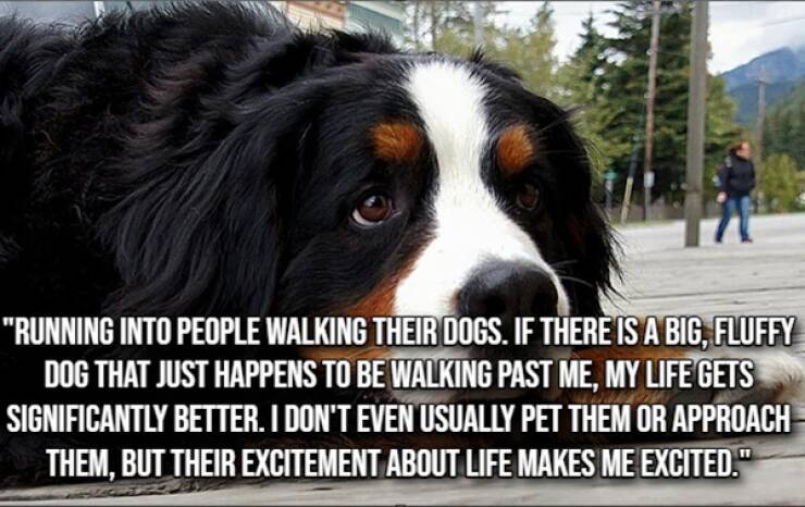 Small Joys That Brighten Everyday Life Small Joys That Brighten Everyday Life