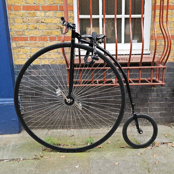 Curiously Interesting Snapshots