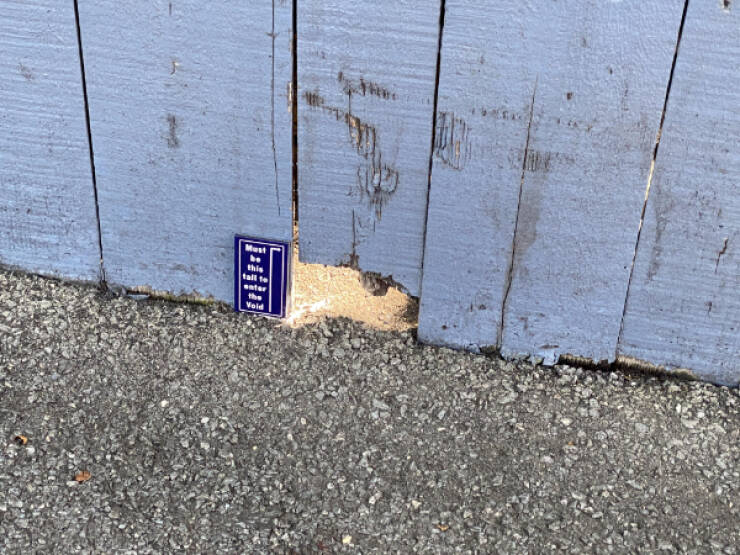 Curiously Interesting Snapshots