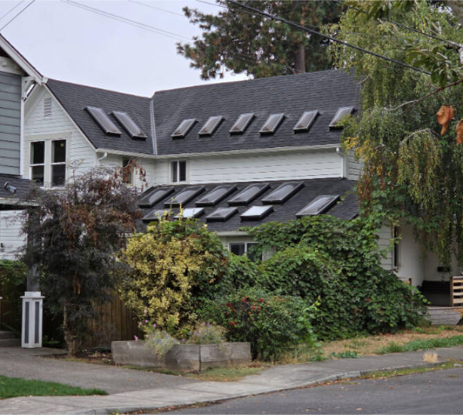 Curiously Interesting Snapshots