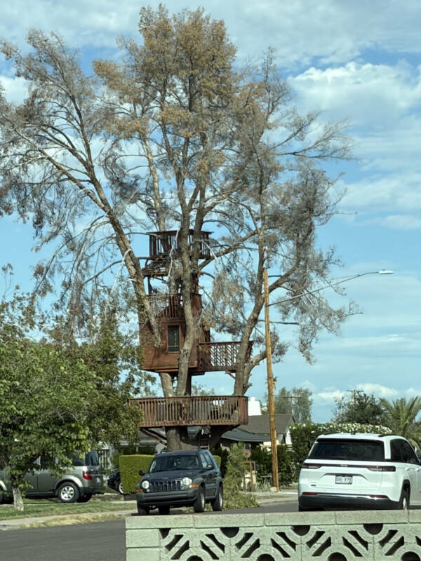 Curiously Interesting Snapshots