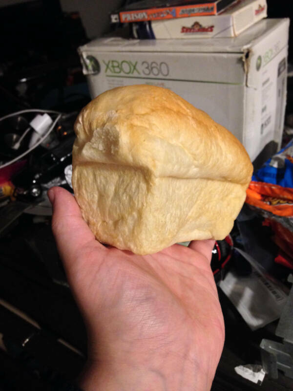 Curiously Interesting Snapshots