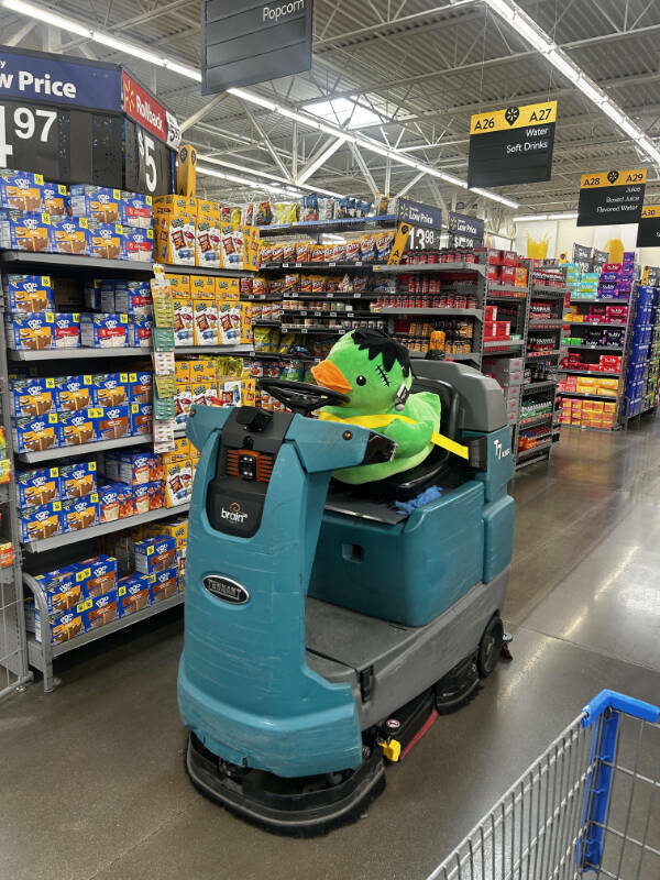 Curiously Interesting Snapshots