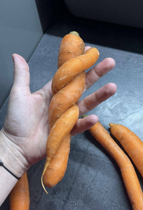 Curiously Interesting Snapshots