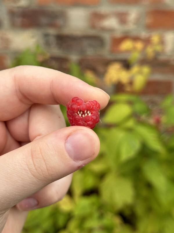 Curiously Interesting Snapshots