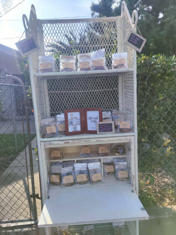 Curiously Interesting Snapshots