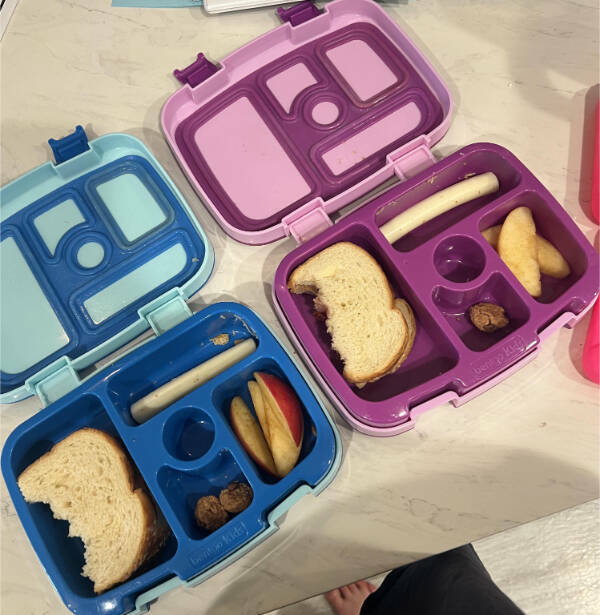 Curiously Interesting Snapshots