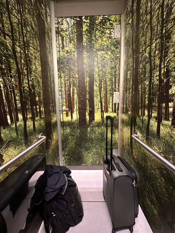 Curiously Interesting Snapshots