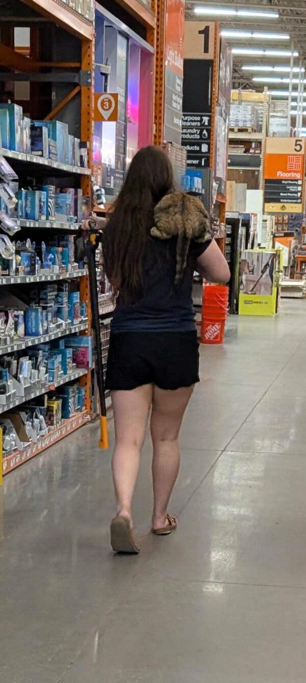 Curiously Interesting Snapshots