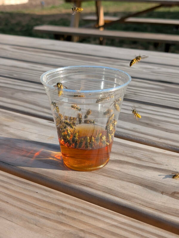 Curiously Interesting Snapshots