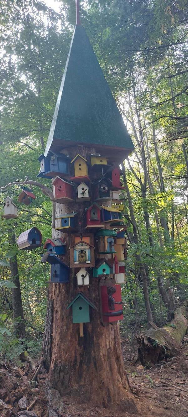 Daily Picdump Daily Picdump