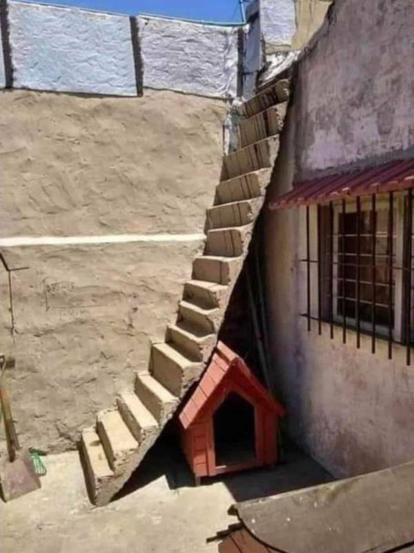 Daily Picdump Daily Picdump