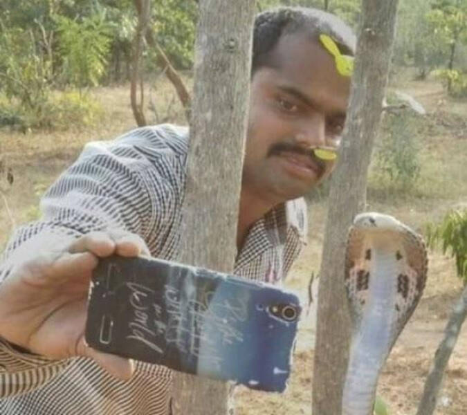 Odd Photos That Scream WTF