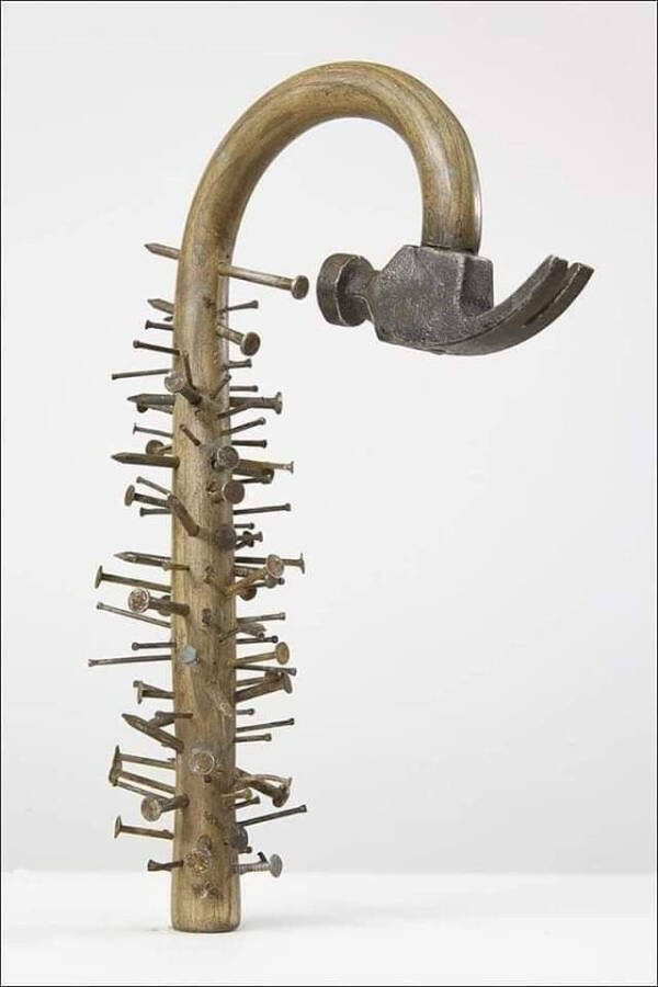 Odd Photos That Scream WTF