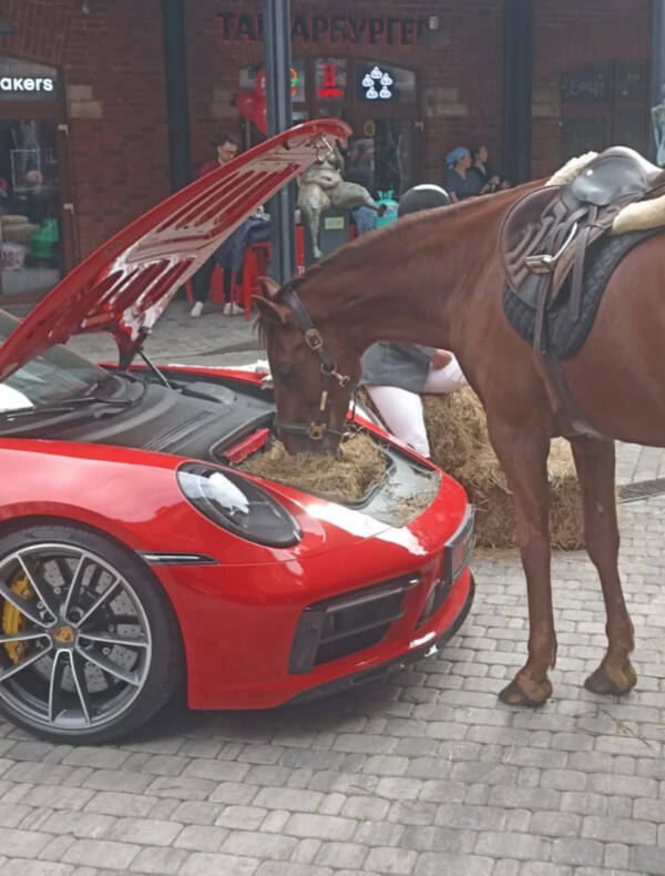 Odd Photos That Scream WTF