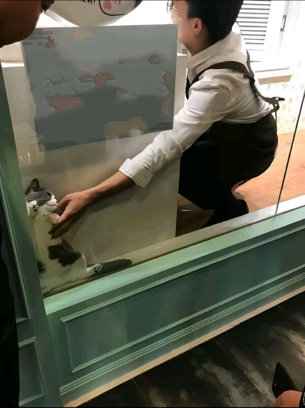 Odd Photos That Scream WTF