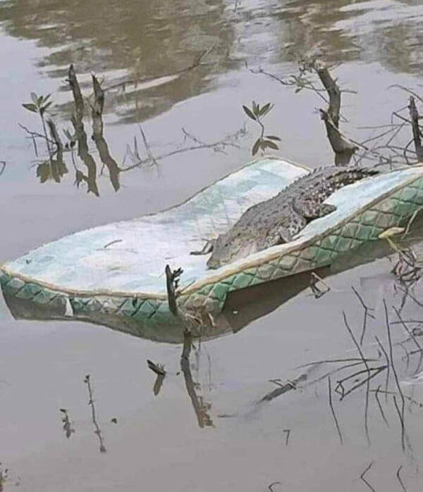 Odd Photos That Scream WTF