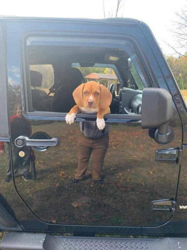 Odd Photos That Scream WTF