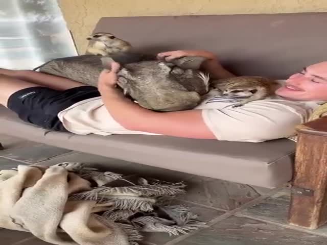 They Found Their Home