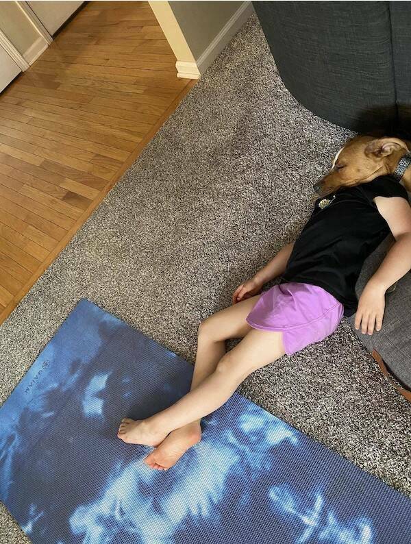 Dogs Never Fail to Entertain Dogs Never Fail to Entertain