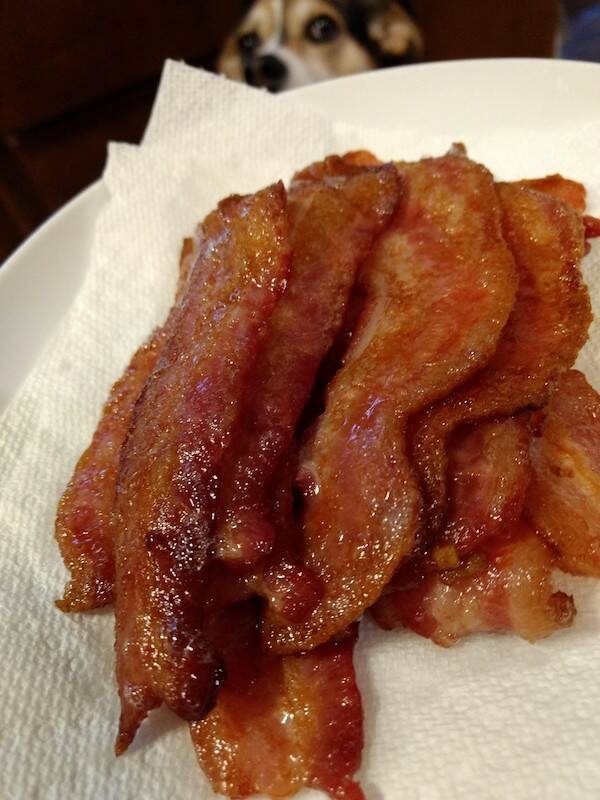 Dogs Never Fail to Entertain Dogs Never Fail to Entertain