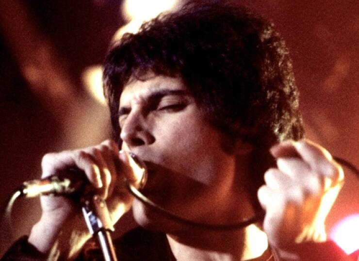 Little Facts, Big Brain Energy