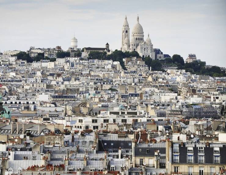 Little Facts, Big Brain Energy