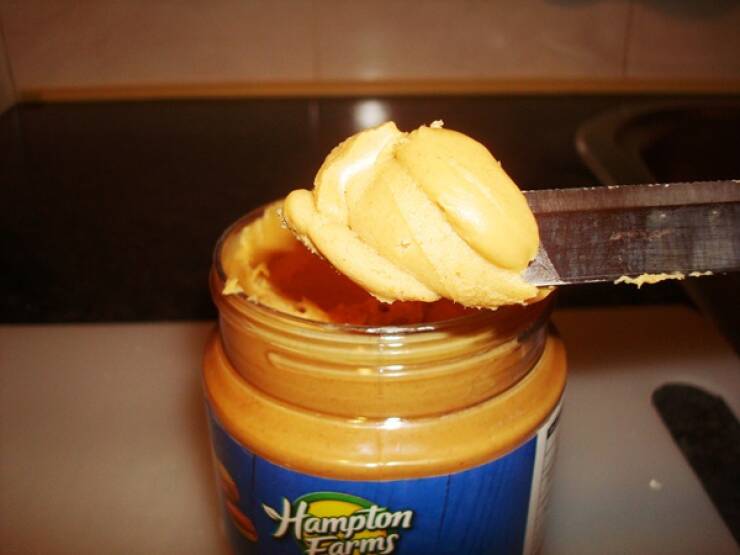 Little Facts, Big Brain Energy