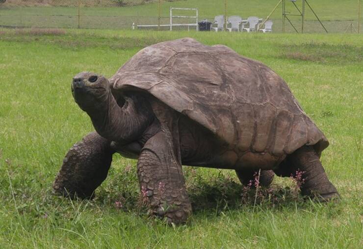 Little Facts, Big Brain Energy