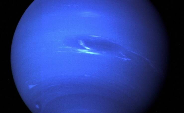 Little Facts, Big Brain Energy