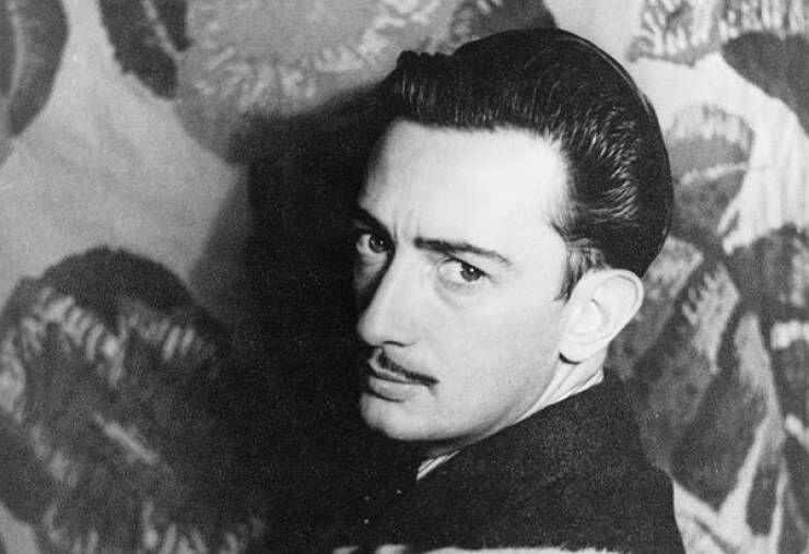 Little Facts, Big Brain Energy