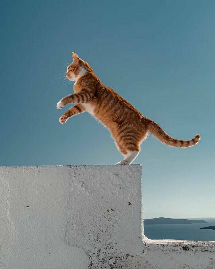 The Peaceful Beauty of Minimalist Photography The Peaceful Beauty of Minimalist Photography