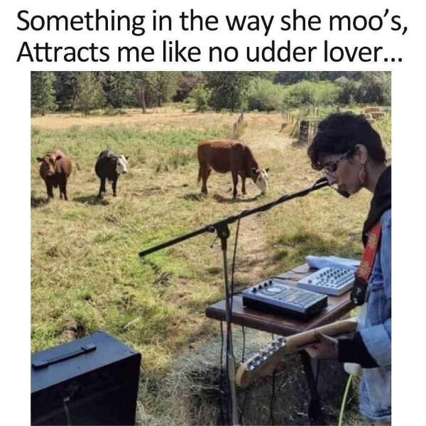 Totally Random, Totally Hilarious Memes