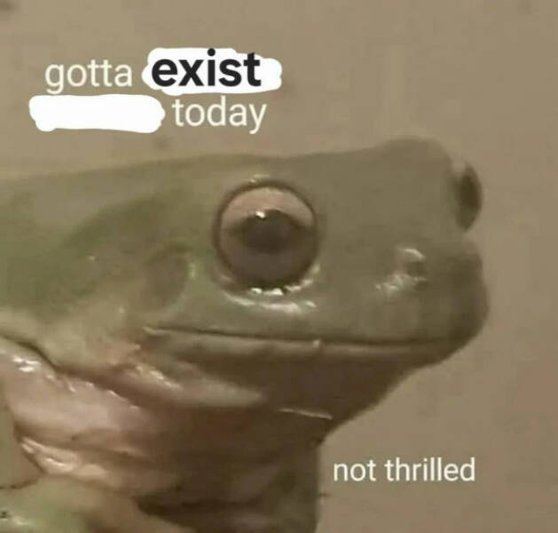 Totally Random, Totally Hilarious Memes