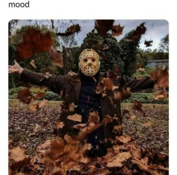 Totally Random, Totally Hilarious Memes