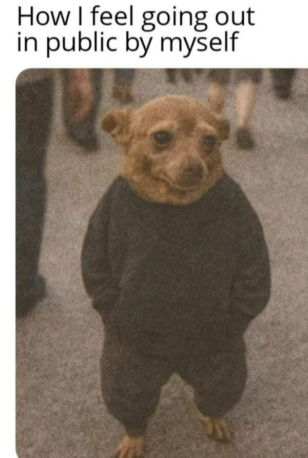 Totally Random, Totally Hilarious Memes