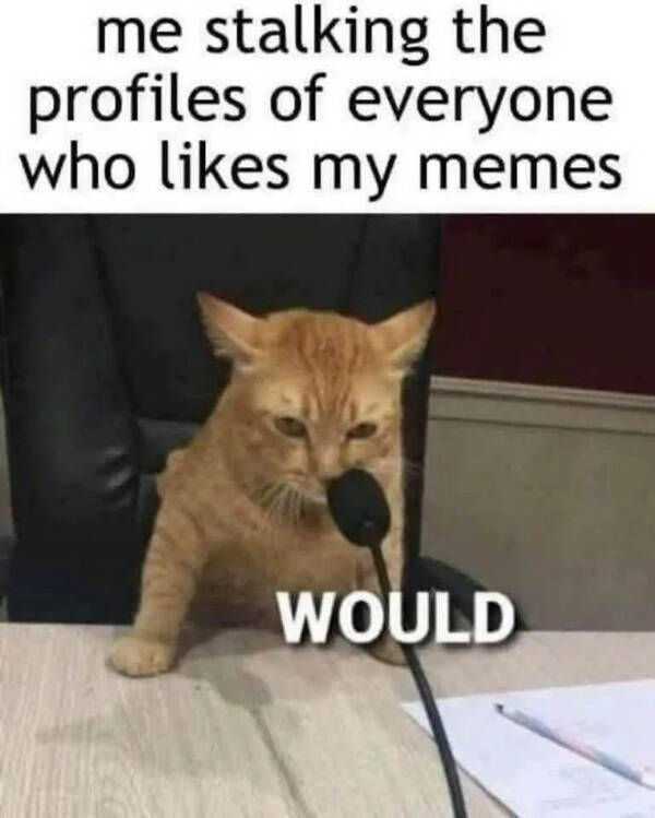 Totally Random, Totally Hilarious Memes