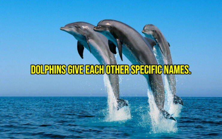 Cheer Up with Some Uplifting Facts