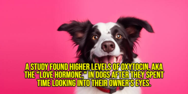 Cheer Up with Some Uplifting Facts