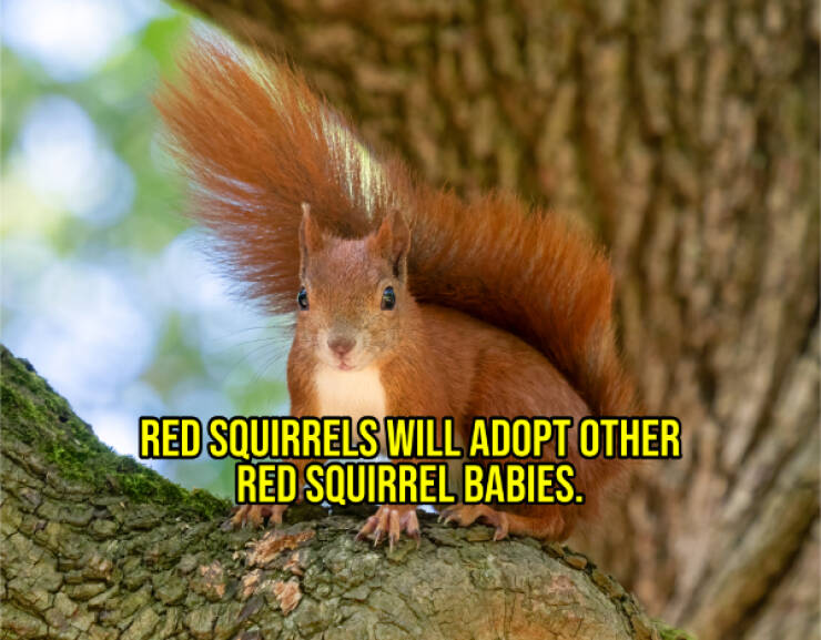 Cheer Up with Some Uplifting Facts