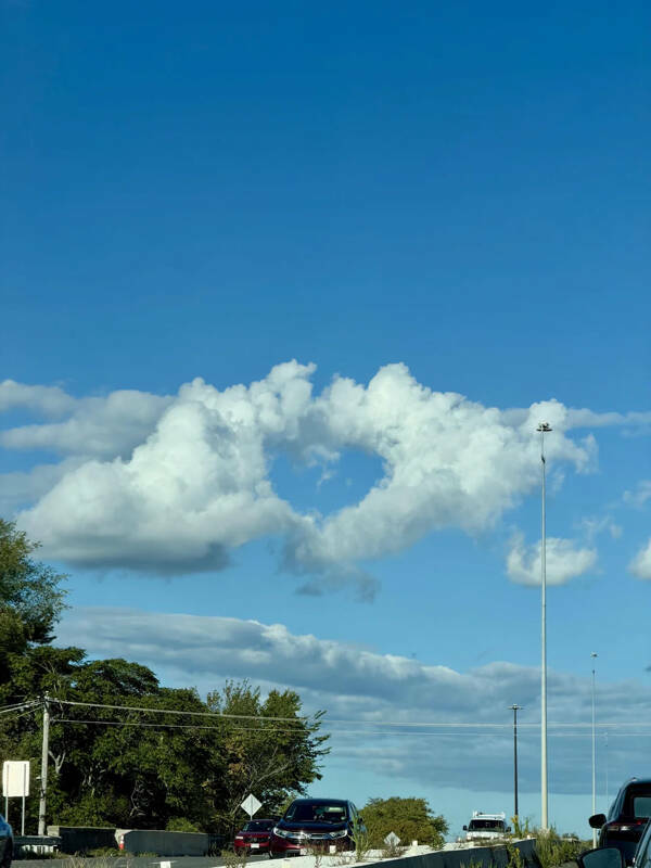 Curiously Cool Photos