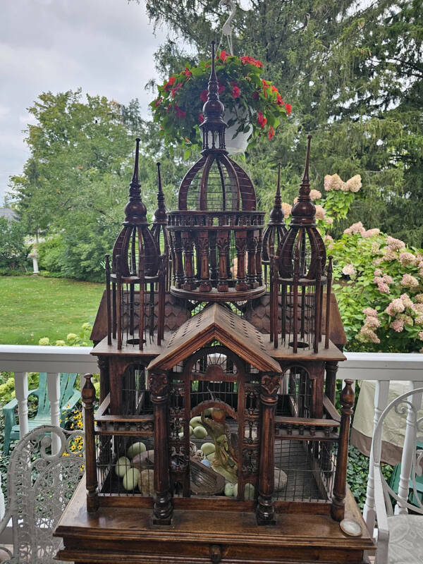 Curiously Cool Photos