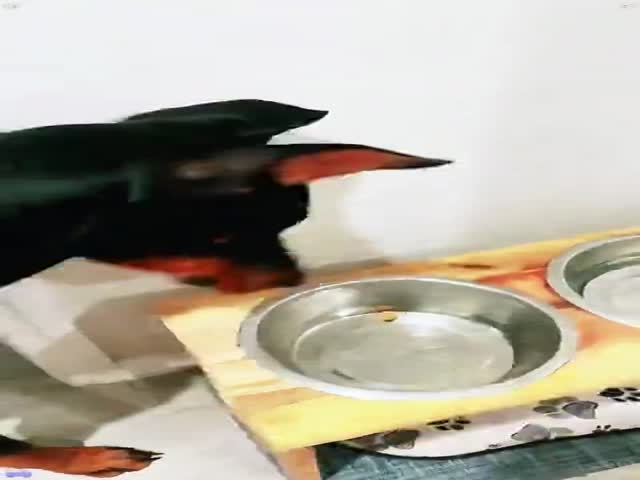 Disappointed Expectations