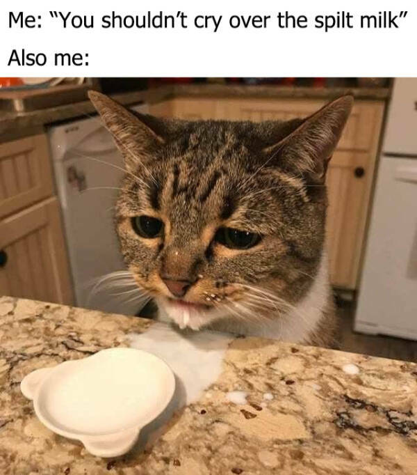 Dank Memes With Unlimited Energy