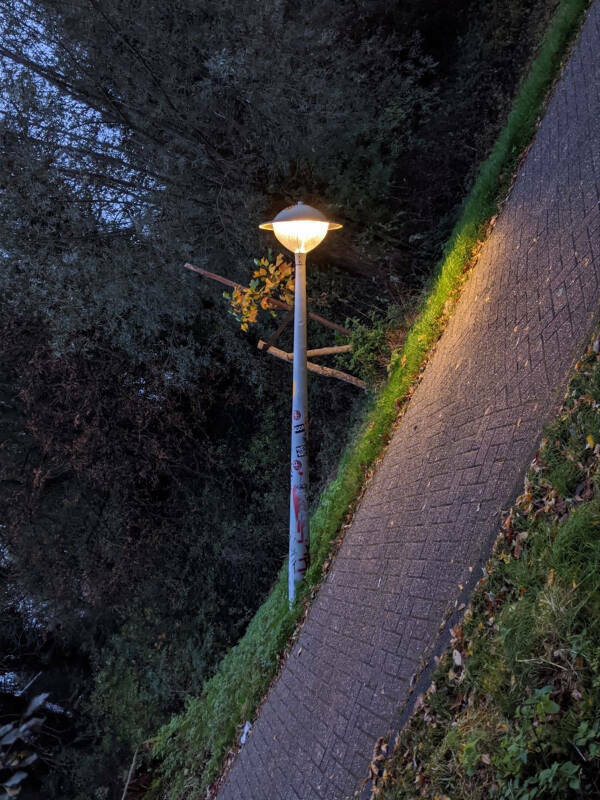 Wait… What Am I Looking At?