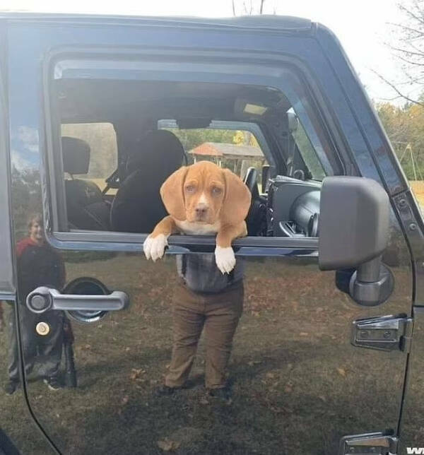 Wait… What Am I Looking At?