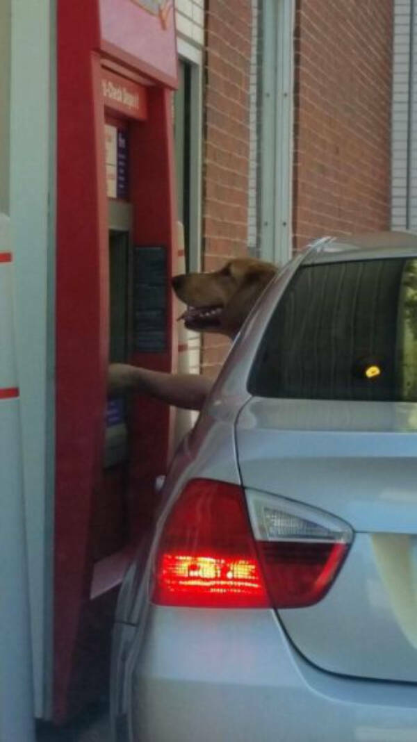 Wait… What Am I Looking At?