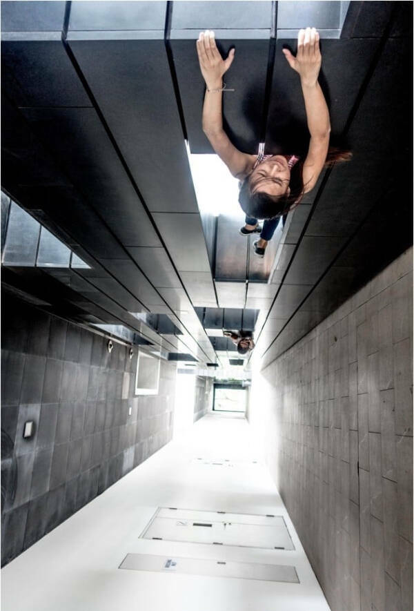 Wait… What Am I Looking At?